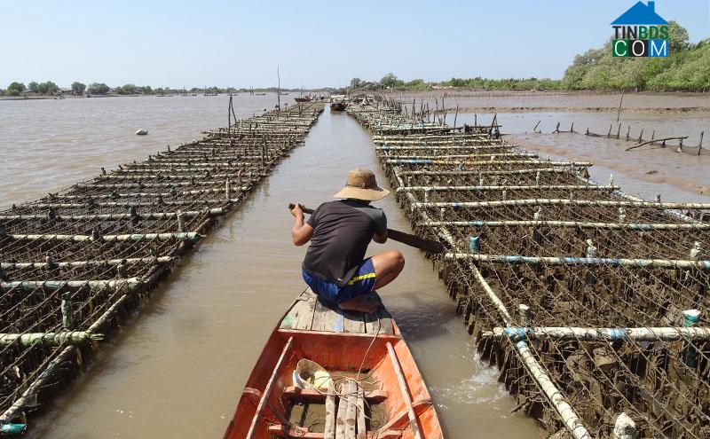 Hình ảnh Thới Thuận, Vĩnh Long