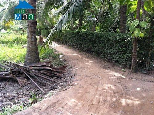 Hình ảnh An Định, Vĩnh Long