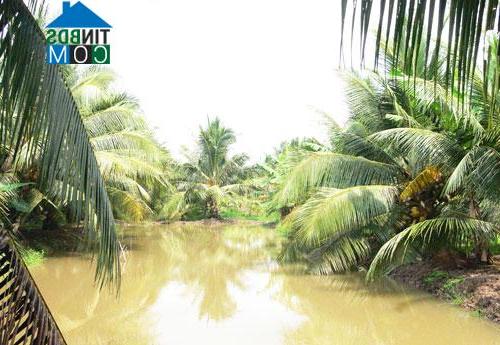 Hình ảnh Hưng Nhượng, Vĩnh Long