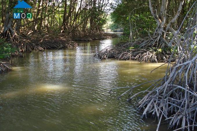 Hình ảnh Long Thành, Vĩnh Long