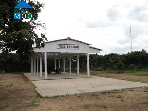 Hình ảnh Phú Thuận, Vĩnh Long