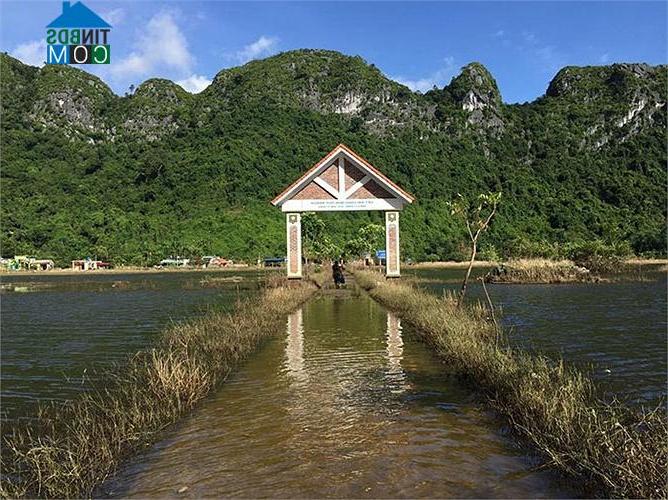 Hình ảnh Cát Hải, Hải Phòng