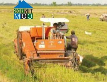 Hình ảnh Rạch Giá, An Giang