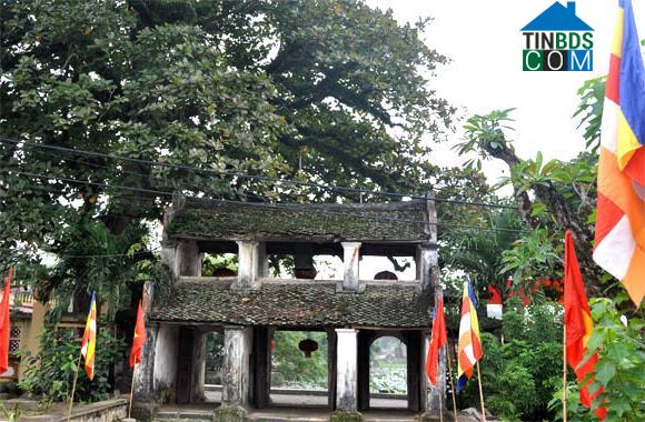 Hình ảnh Hoa Lư, Ninh Bình