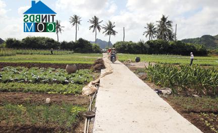 Hình ảnh Cát Hải, Hải Phòng