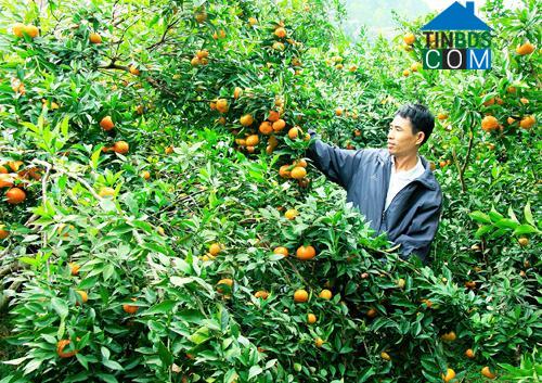 Hình ảnh Vân Đồn, Quảng Ninh