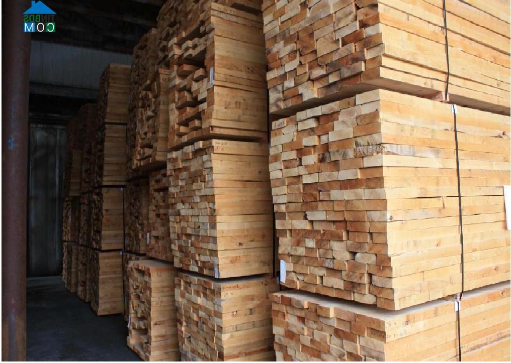 Hình ảnh Cam Lâm, Khánh Hòa