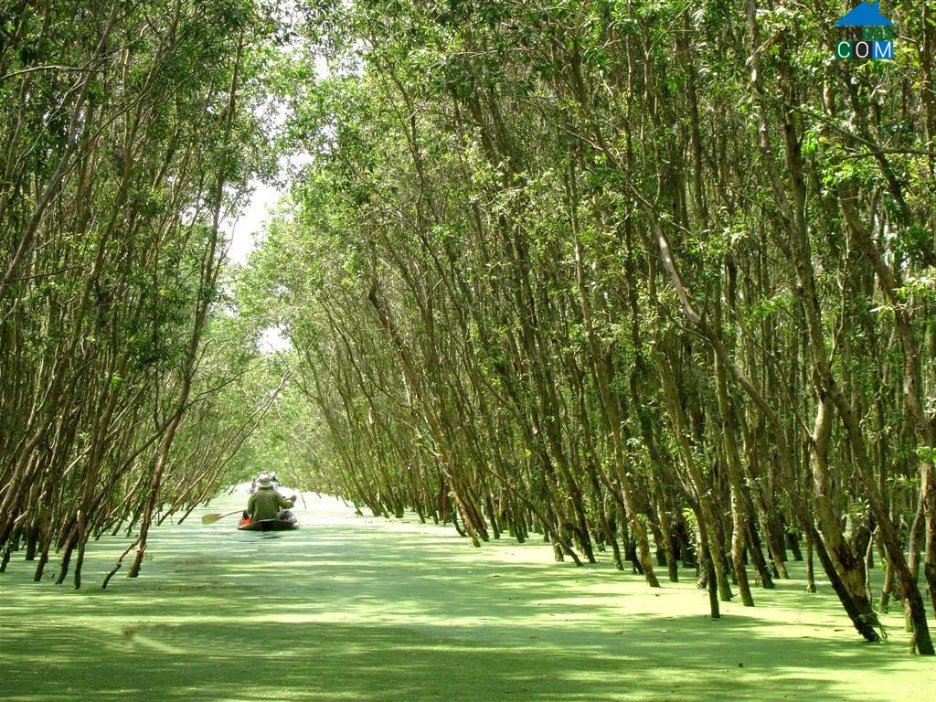 Hình ảnh Vĩnh Thuận Đông, Cần Thơ