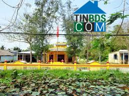 Hình ảnh Vĩnh Tường, Cần Thơ