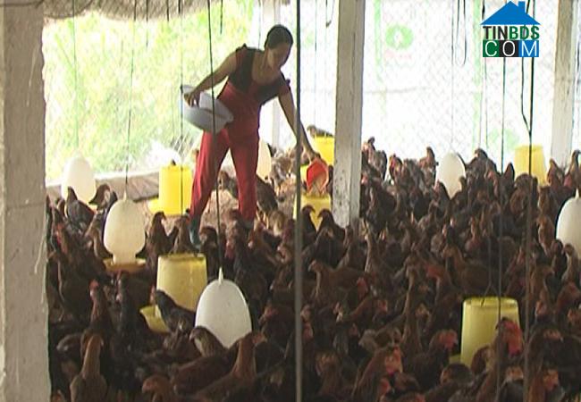 Hình ảnh Đại Hải, Cần Thơ