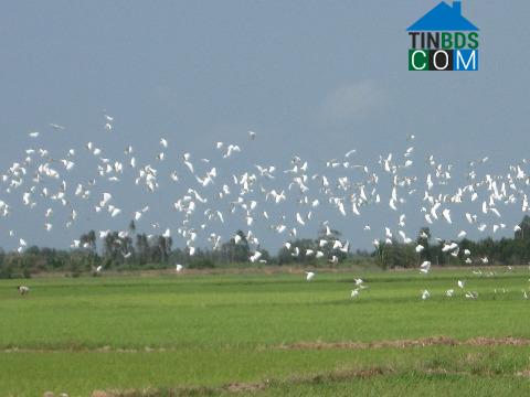 Hình ảnh An Ninh, Cần Thơ