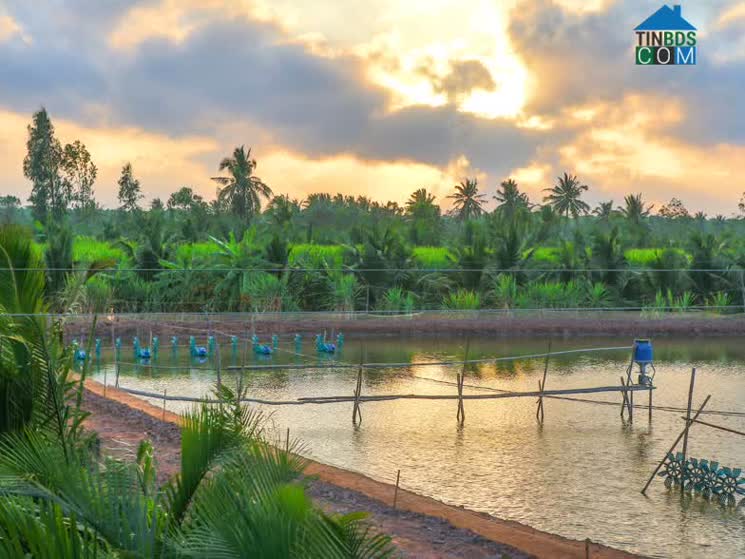 Hình ảnh An Thạnh, Cần Thơ