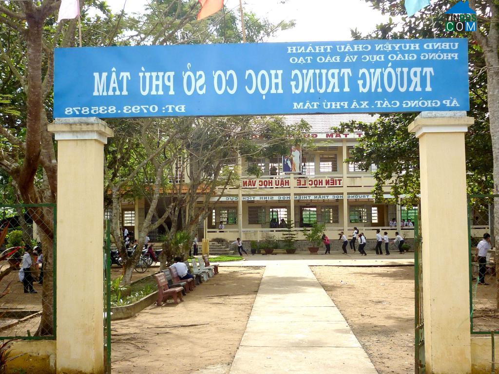 Hình ảnh Phú Tâm, Cần Thơ