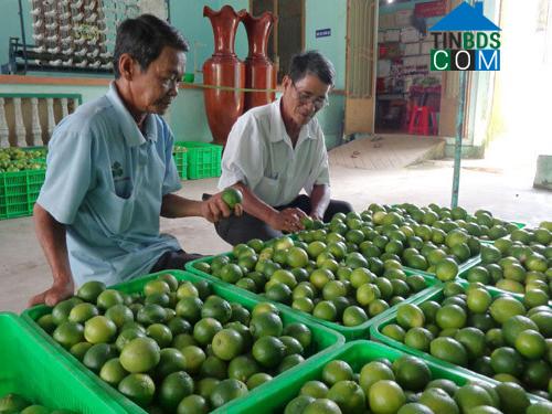 Hình ảnh Đông Phước, Cần Thơ