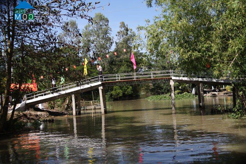 Hình ảnh Đông Thuận, Cần Thơ