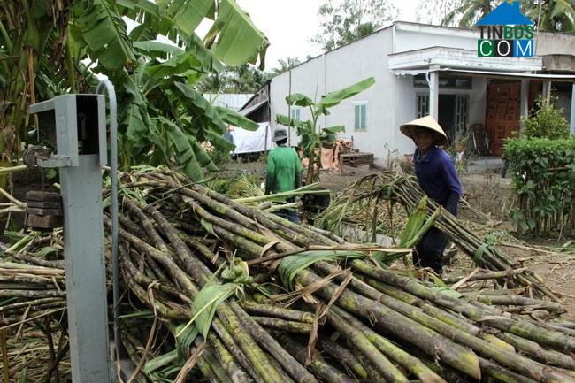 Hình ảnh Hiệp Hưng, Cần Thơ