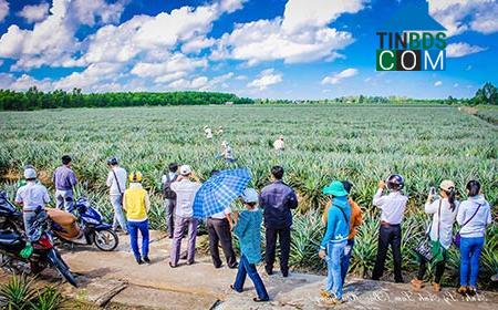 Hình ảnh Hỏa Lựu, Cần Thơ