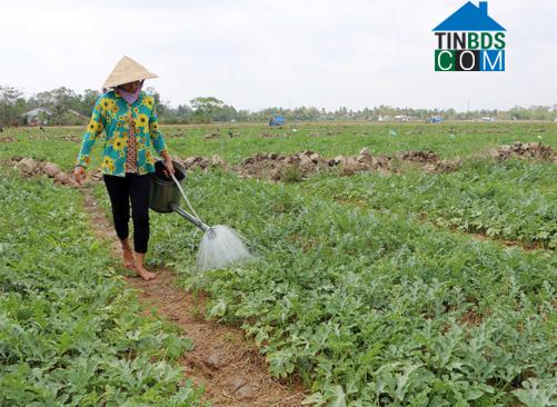 Hình ảnh Mỹ Hương, Cần Thơ