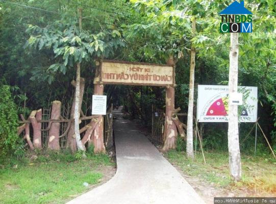 Hình ảnh Phương Bình, Cần Thơ