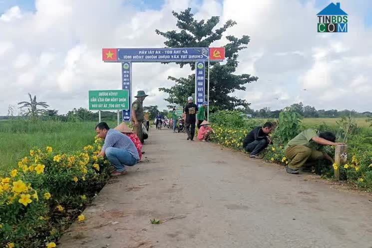 Hình ảnh Tài Văn, Cần Thơ