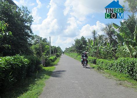 Hình ảnh Tân Phước Hưng, Cần Thơ