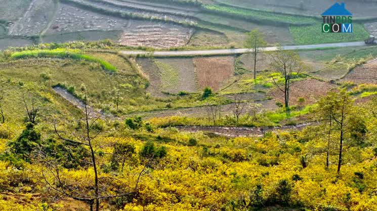 Hình ảnh Hạ Lang, Cao Bằng