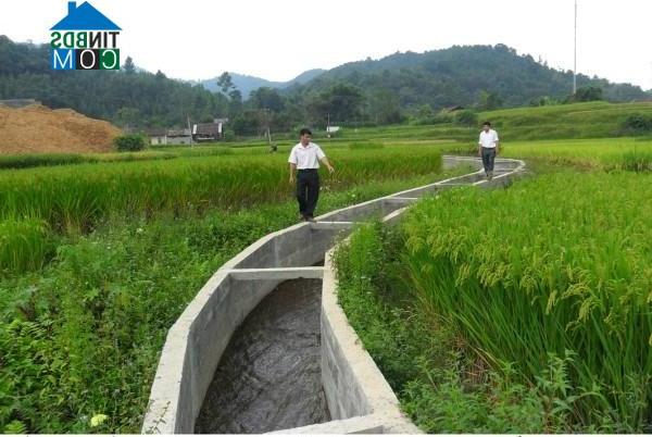 Hình ảnh Trà Lĩnh, Cao Bằng