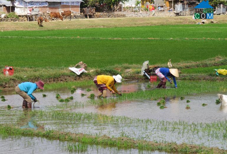 Hình ảnh Tuy An Đông, Đắk Lắk