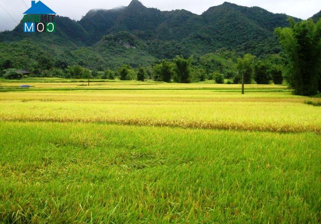 Hình ảnh Yên Thổ, Cao Bằng
