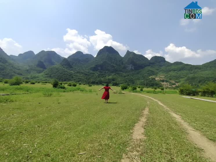 Hình ảnh Thanh Long, Cao Bằng