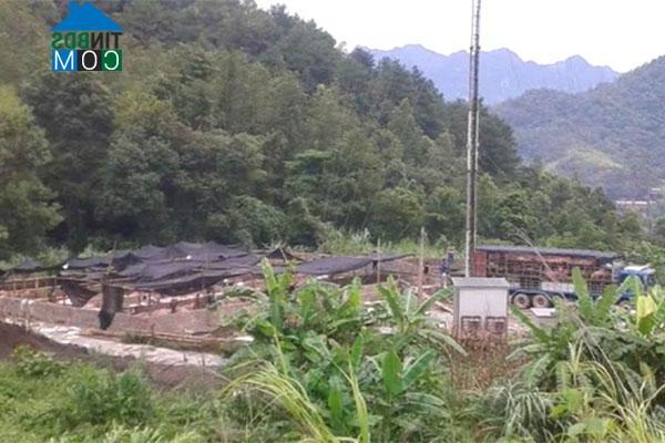 Hình ảnh Nguyễn Huệ, Cao Bằng