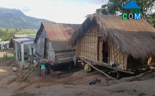 Hình ảnh Yang Mao, Đắk Lắk