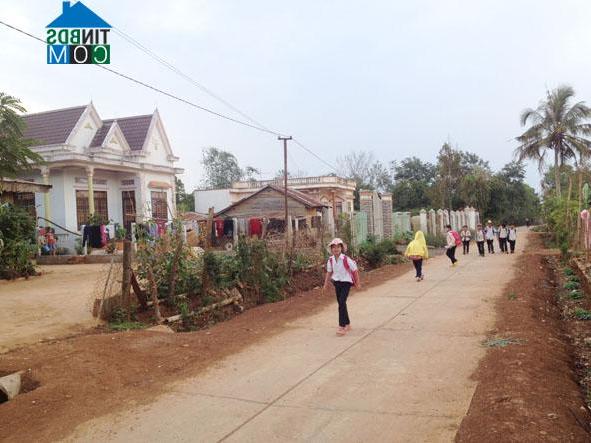 Hình ảnh Ea Kiết, Đắk Lắk