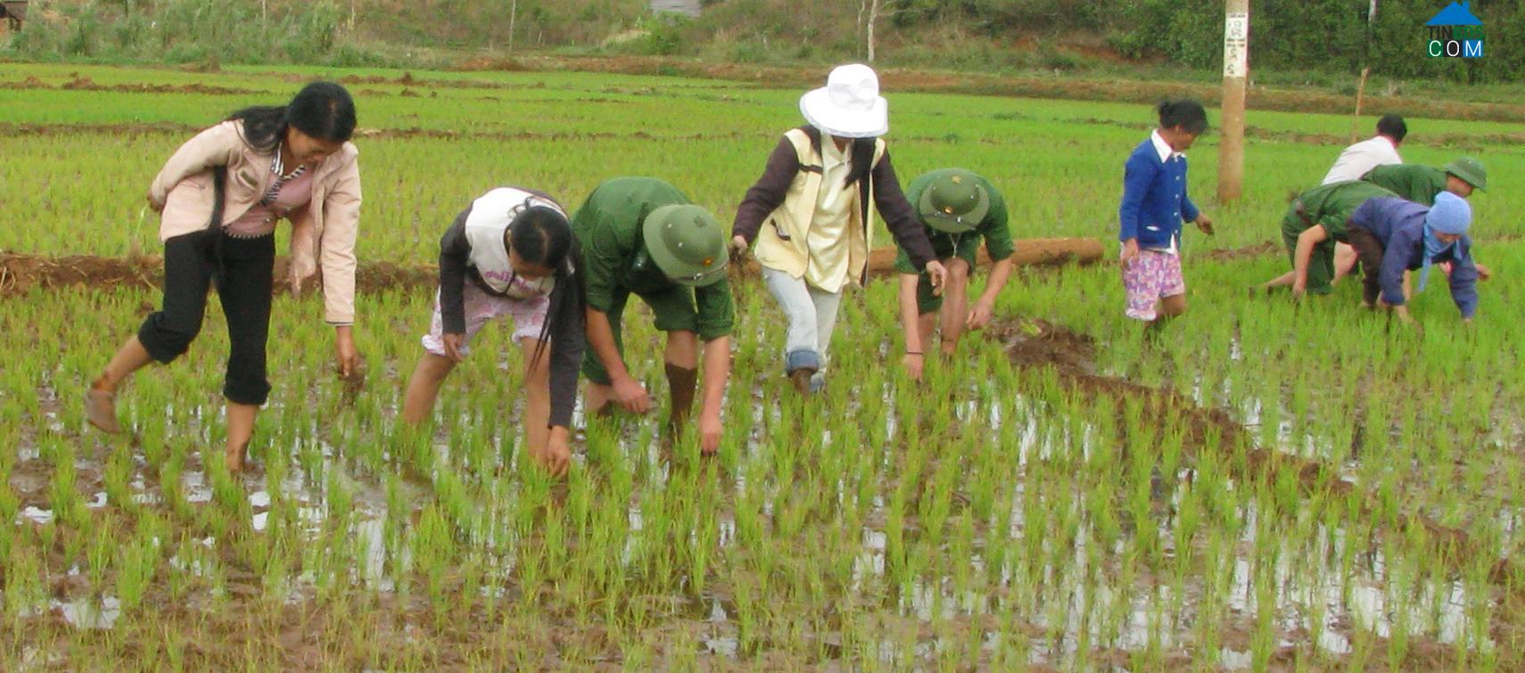 Hình ảnh Ea Knốp, Đắk Lắk