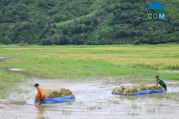 Hình ảnh Đắk Liêng, Đắk Lắk