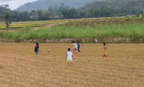 Hình ảnh Đồng Xuân, Đắk Lắk