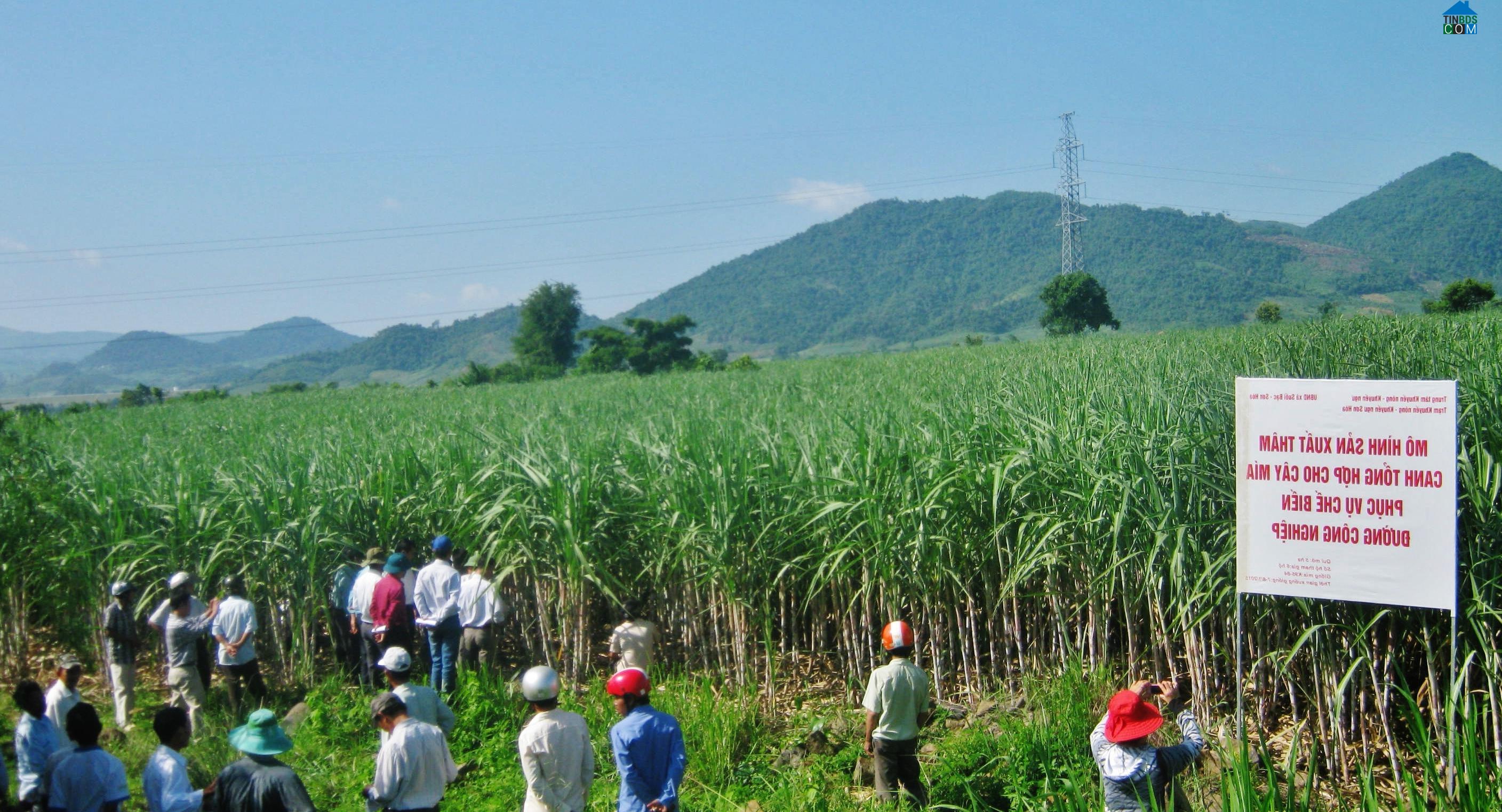 Hình ảnh Sơn Hòa, Đắk Lắk