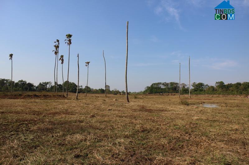 Hình ảnh Krông Năng, Đắk Lắk