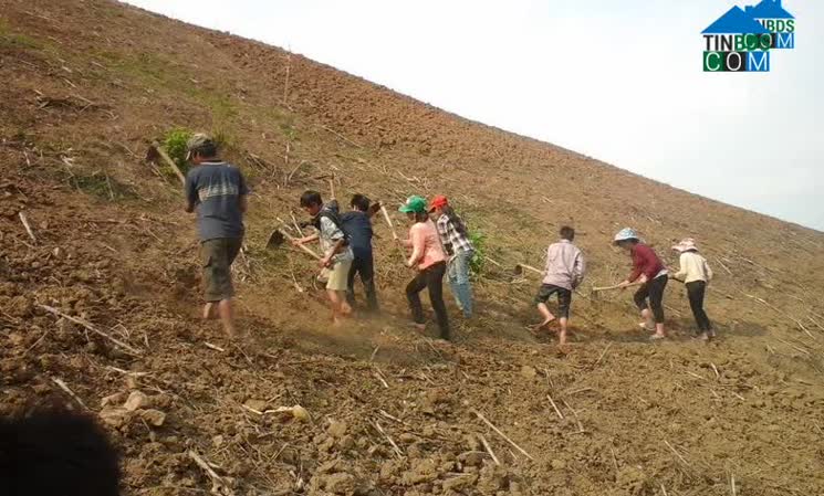 Hình ảnh Mường Luân, Điện Biên