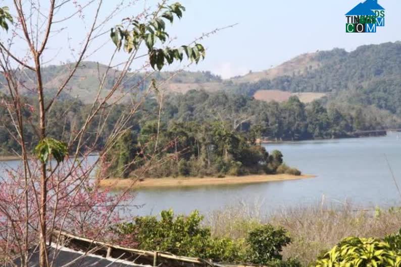 Hình ảnh Mường Phăng, Điện Biên