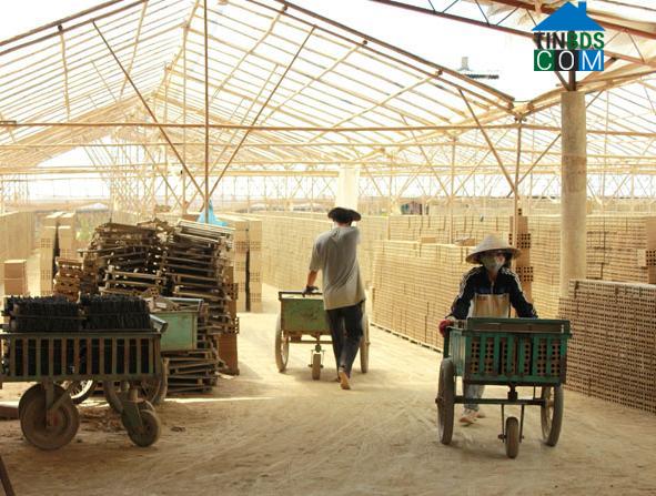 Hình ảnh Tân Tiến, Đắk Lắk