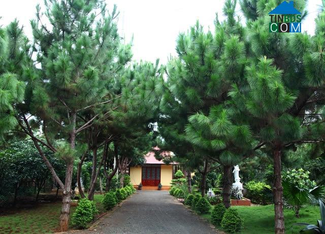 Hình ảnh Tân Lập, Đắk Lắk