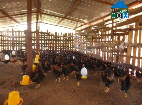 Hình ảnh An Lộc, Đồng Nai