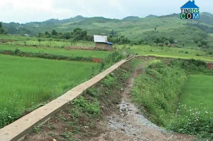 Hình ảnh Núa Ngam, Điện Biên