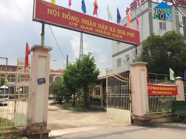 Hình ảnh Bình Mỹ, Hồ Chí Minh