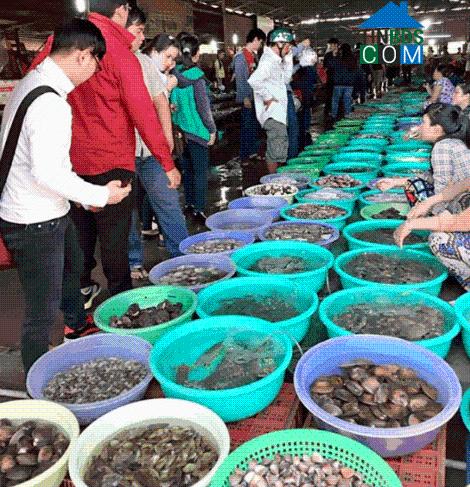 Hình ảnh Cần Giờ, Hồ Chí Minh