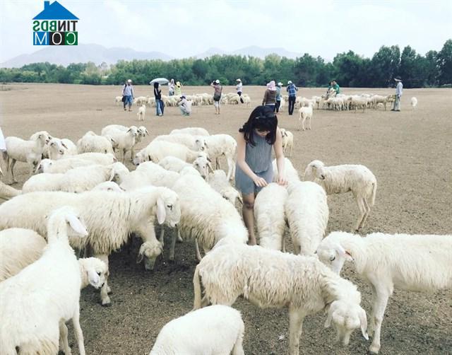 Hình ảnh Ngãi Giao, Hồ Chí Minh