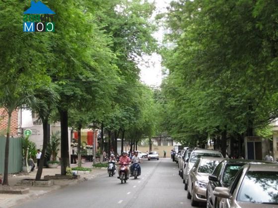 Hình ảnh An Nhơn, Hồ Chí Minh