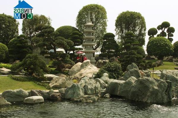 Hình ảnh Xuân Thới Sơn, Hồ Chí Minh