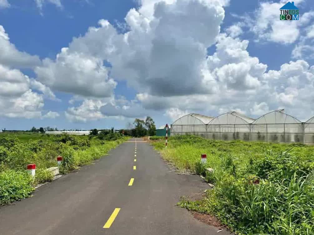 Hình ảnh Đất Đỏ, Hồ Chí Minh